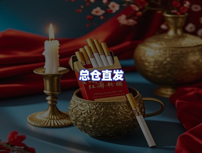 专业团队